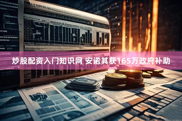 炒股配资入门知识网 安诺其获165万政府补助