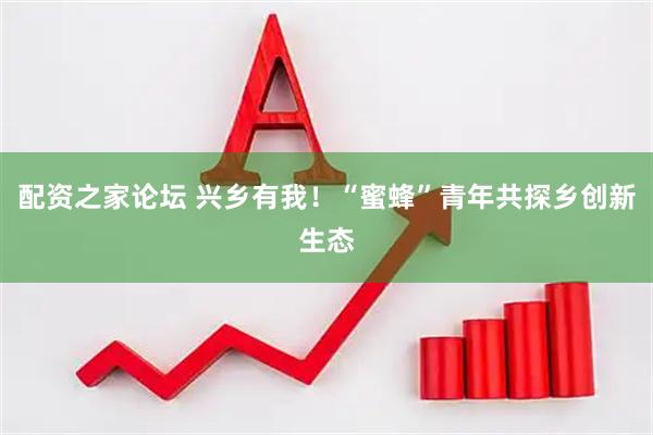 配资之家论坛 兴乡有我！“蜜蜂”青年共探乡创新生态