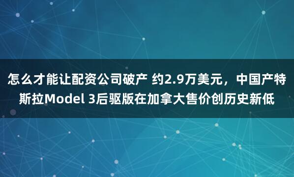 怎么才能让配资公司破产 约2.9万美元，中国产特斯拉Model 3后驱版在加拿大售价创历史新低